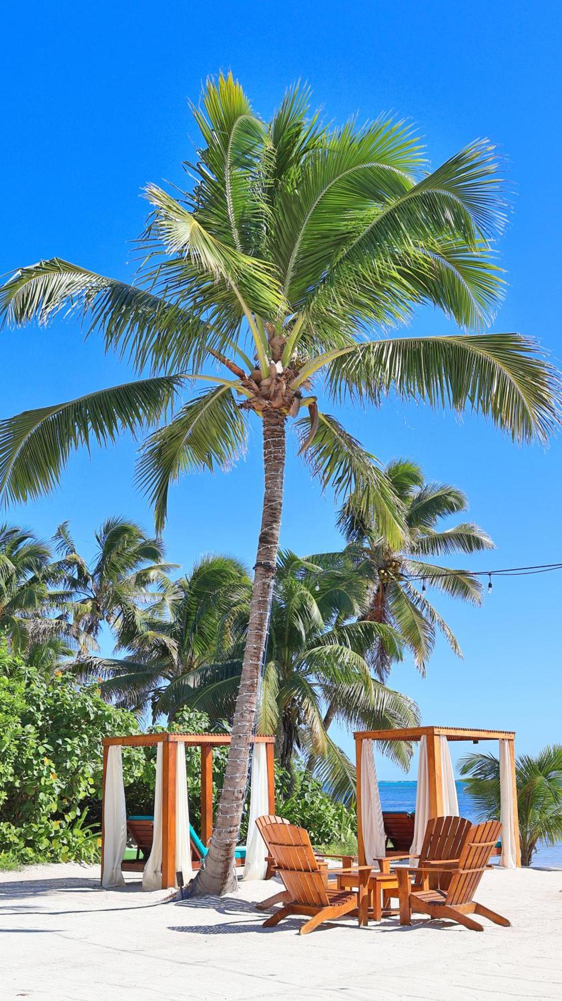 Mangata Villas Adults Only San Pedro  Esterno foto